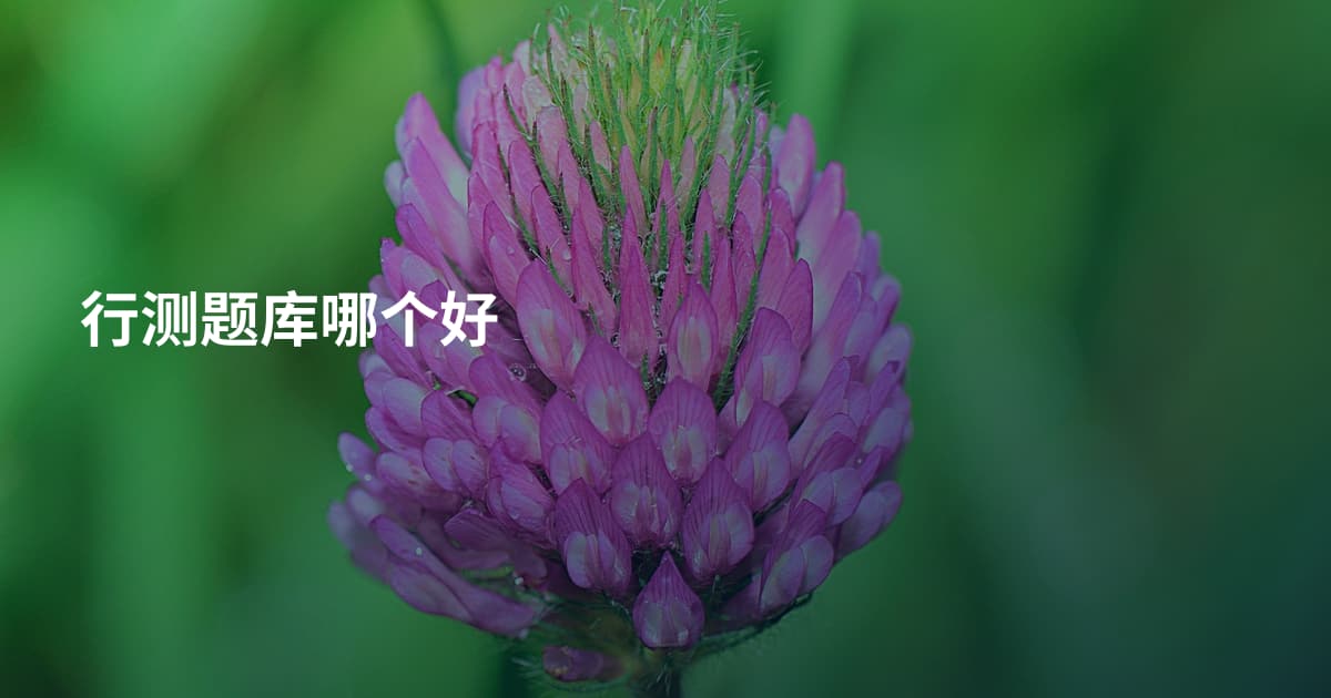 行测题库哪个好