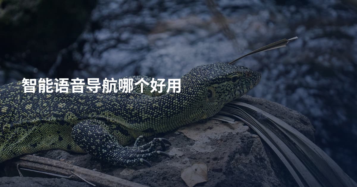 智能语音导航哪个好用