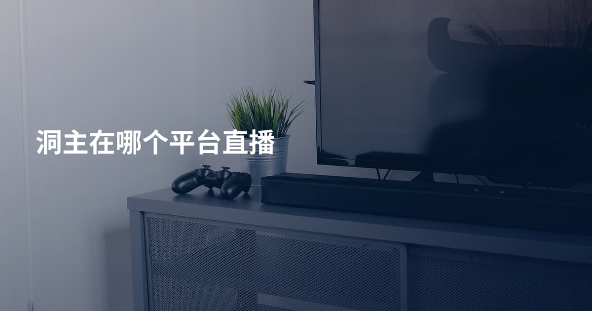 洞主在哪个平台直播