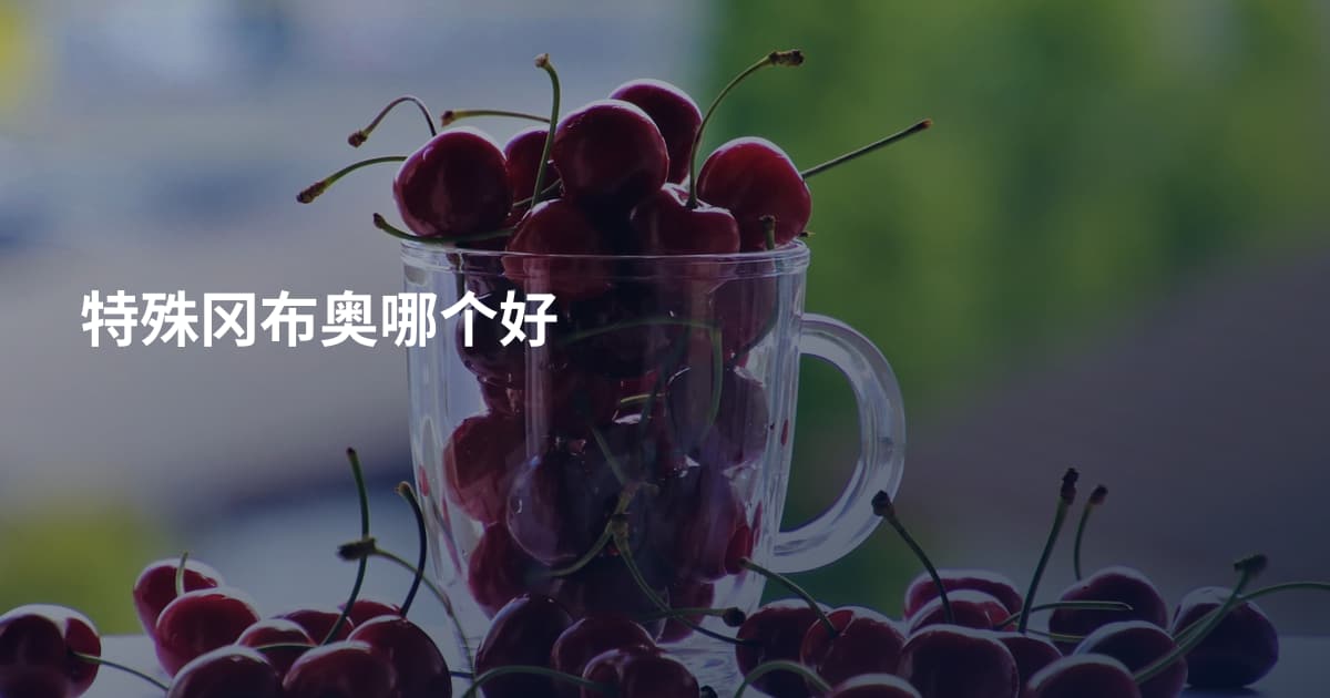 特殊冈布奥哪个好