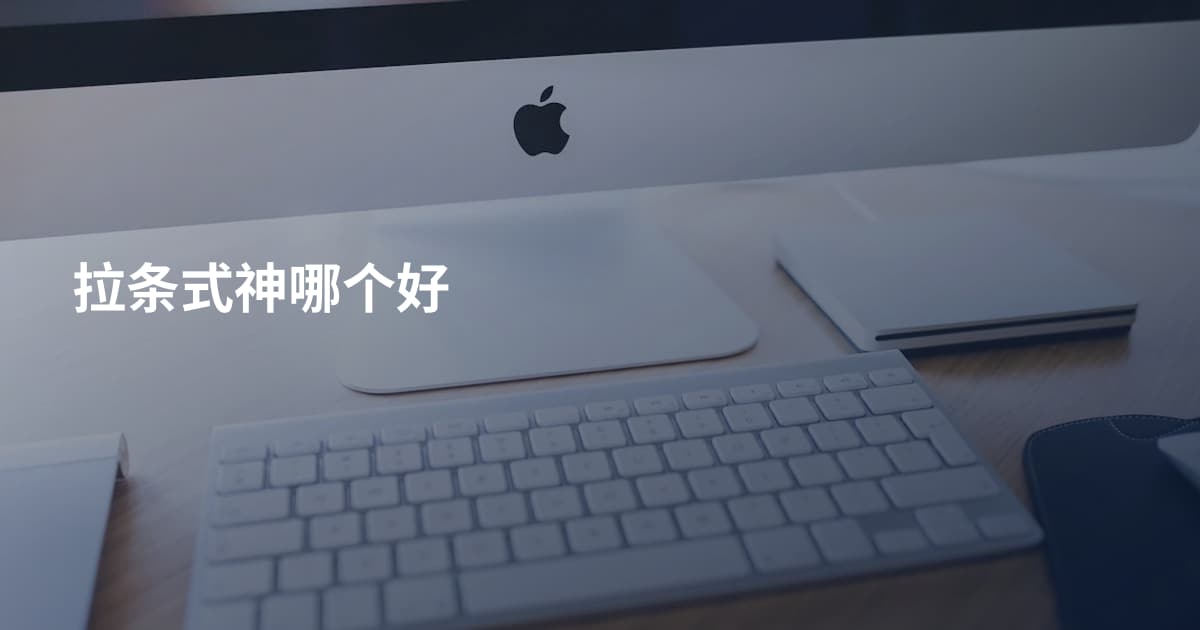 拉条式神哪个好