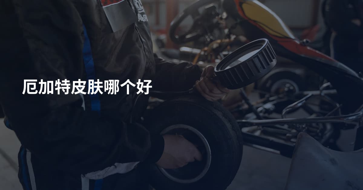 厄加特皮肤哪个好