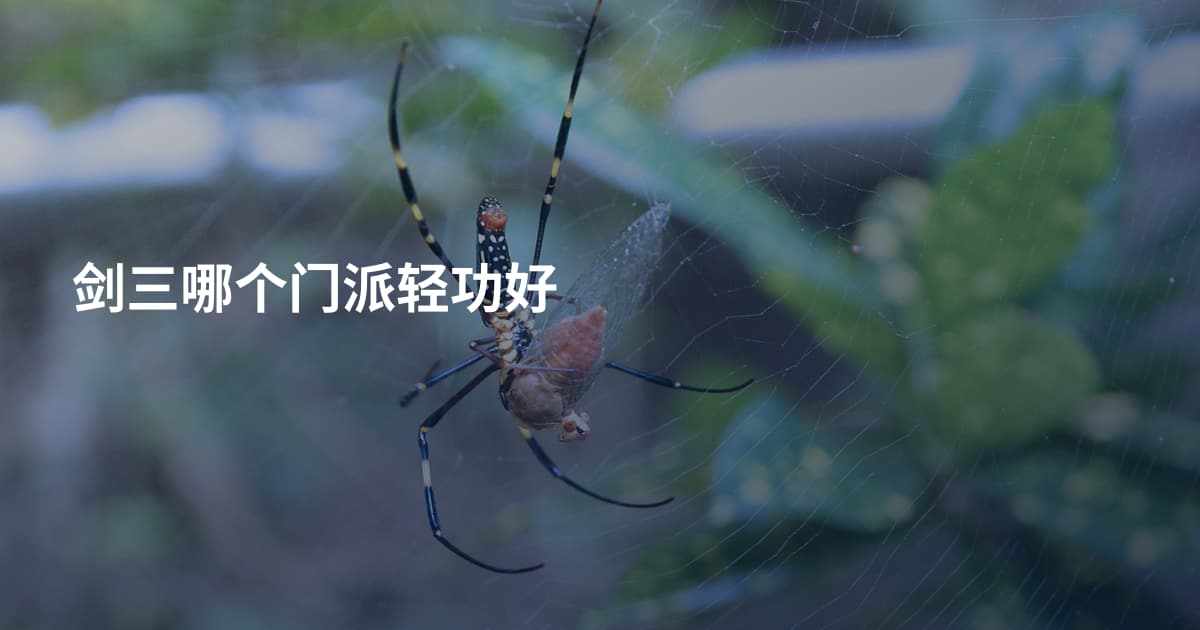 剑三哪个门派轻功好