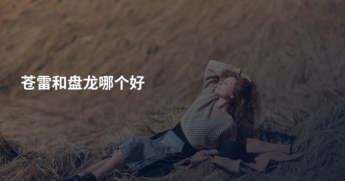 苍雷和盘龙哪个好