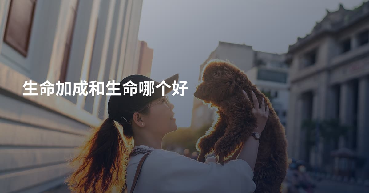 生命加成和生命哪个好