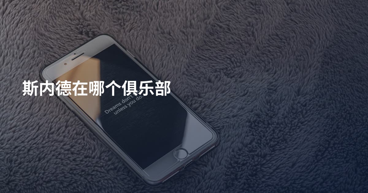 斯内德在哪个俱乐部