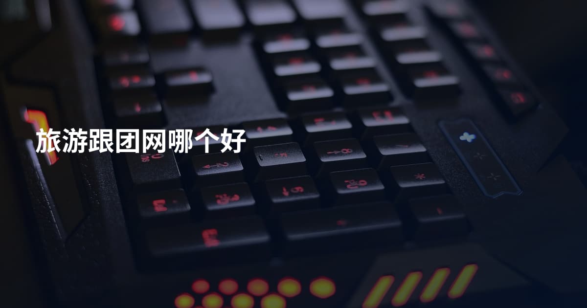 旅游跟团网哪个好