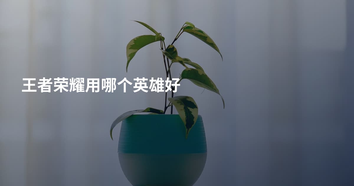 王者荣耀用哪个英雄好