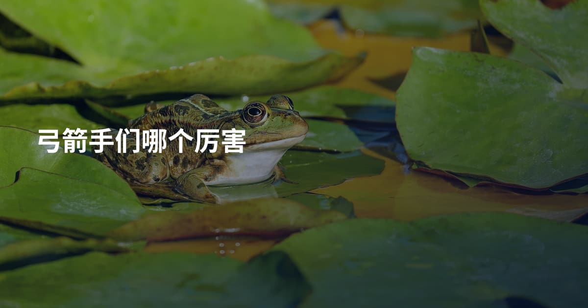 弓箭手们哪个厉害