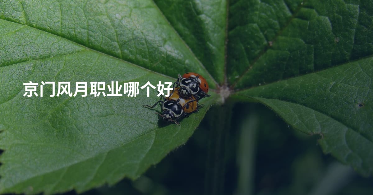 京门风月职业哪个好