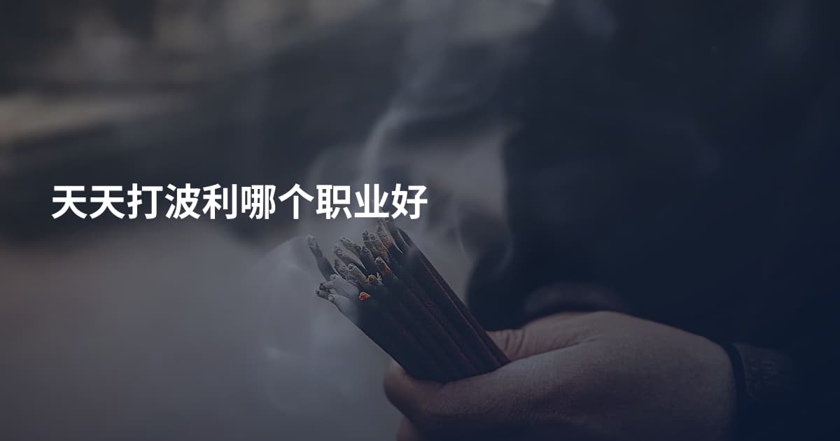 天天打波利哪个职业好