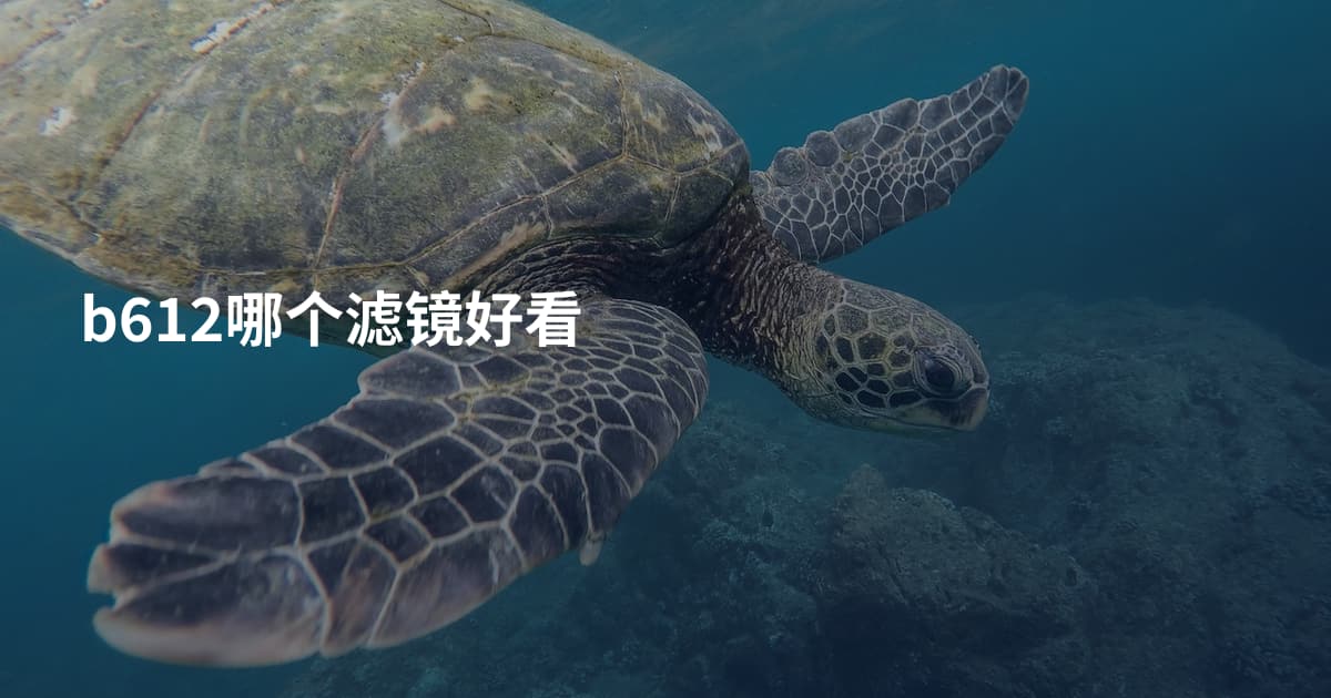 b612哪个滤镜好看