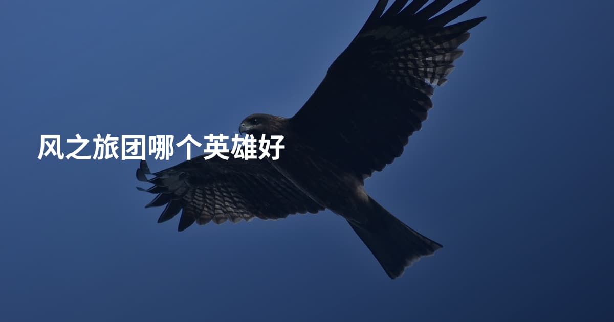 风之旅团哪个英雄好