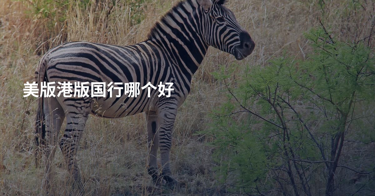 美版港版国行哪个好