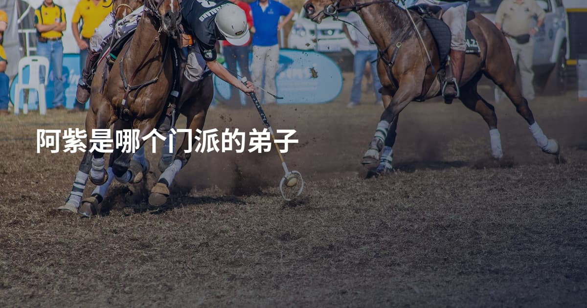 阿紫是哪个门派的弟子