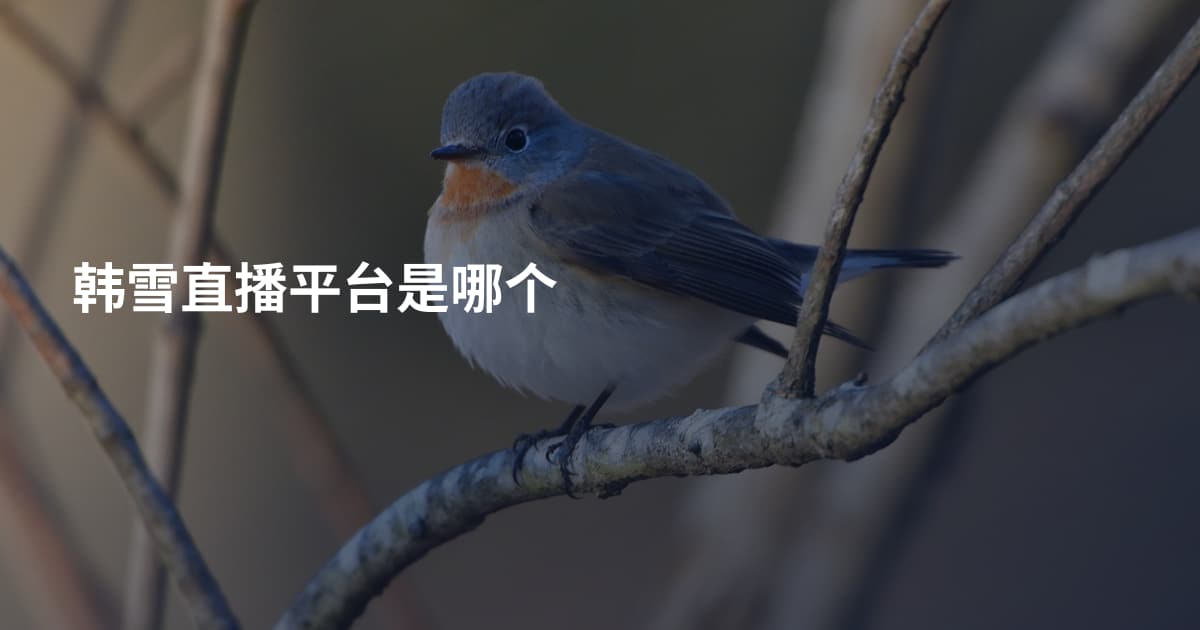 韩雪直播平台是哪个