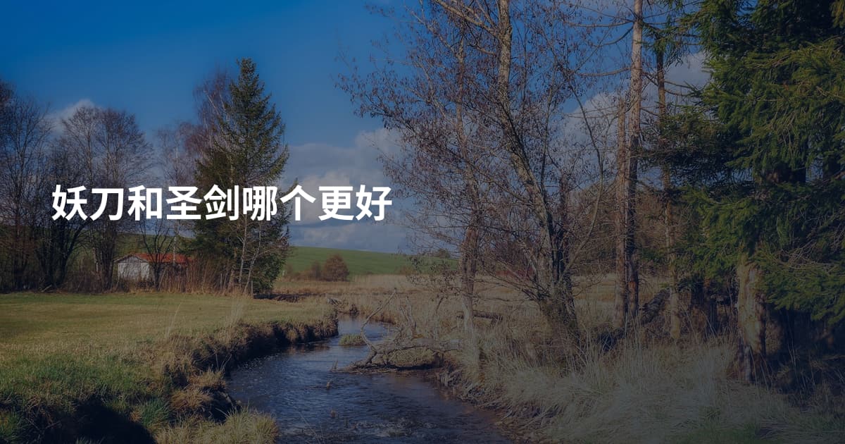 妖刀和圣剑哪个更好