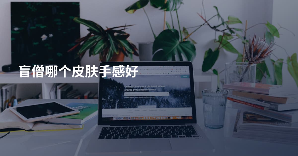 盲僧哪个皮肤手感好