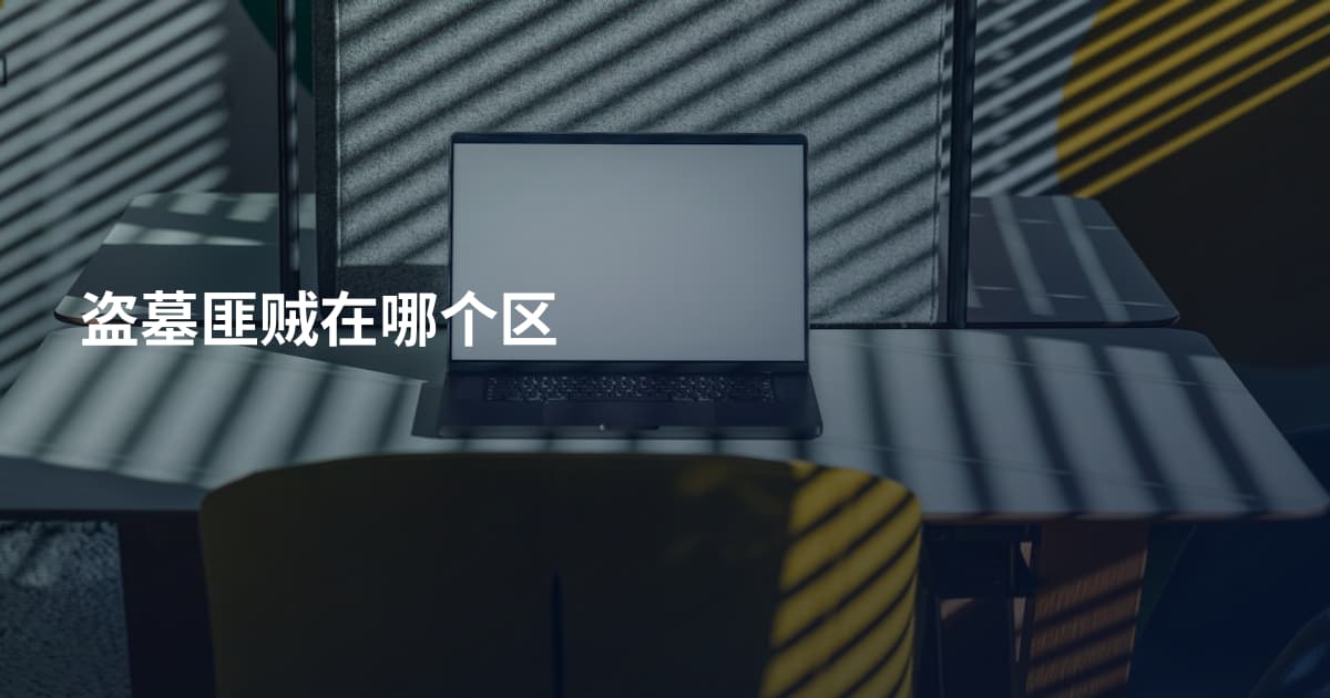 盗墓匪贼在哪个区