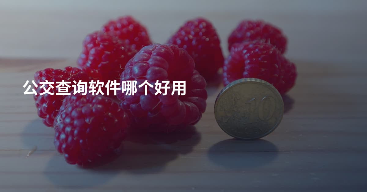 公交查询软件哪个好用