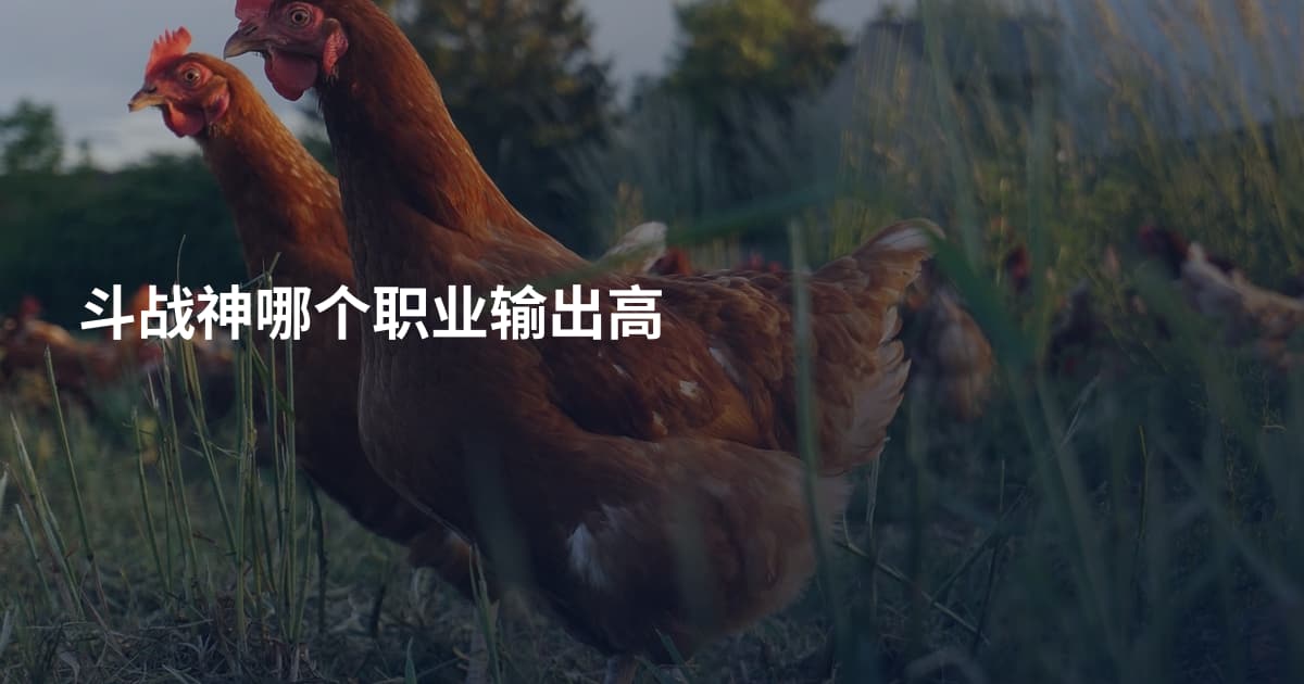 斗战神哪个职业输出高