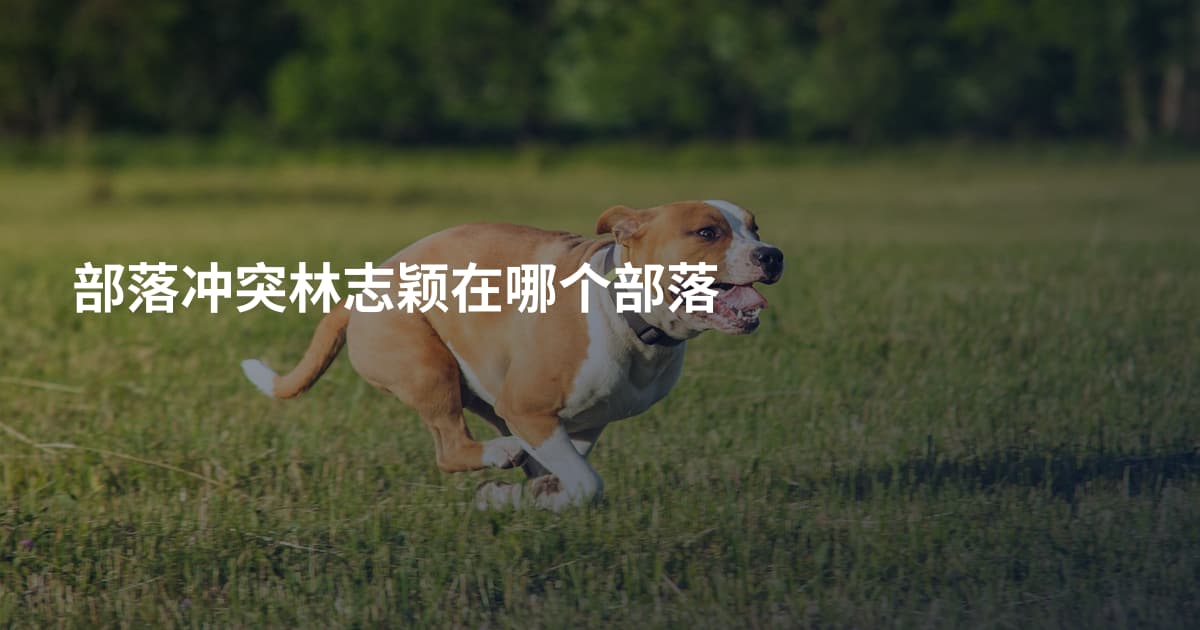 部落冲突林志颖在哪个部落