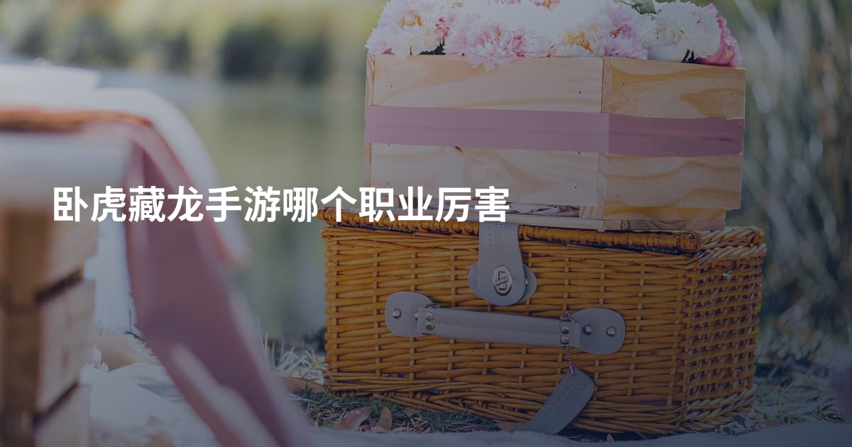 卧虎藏龙手游哪个职业厉害
