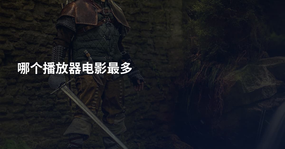 哪个播放器电影最多