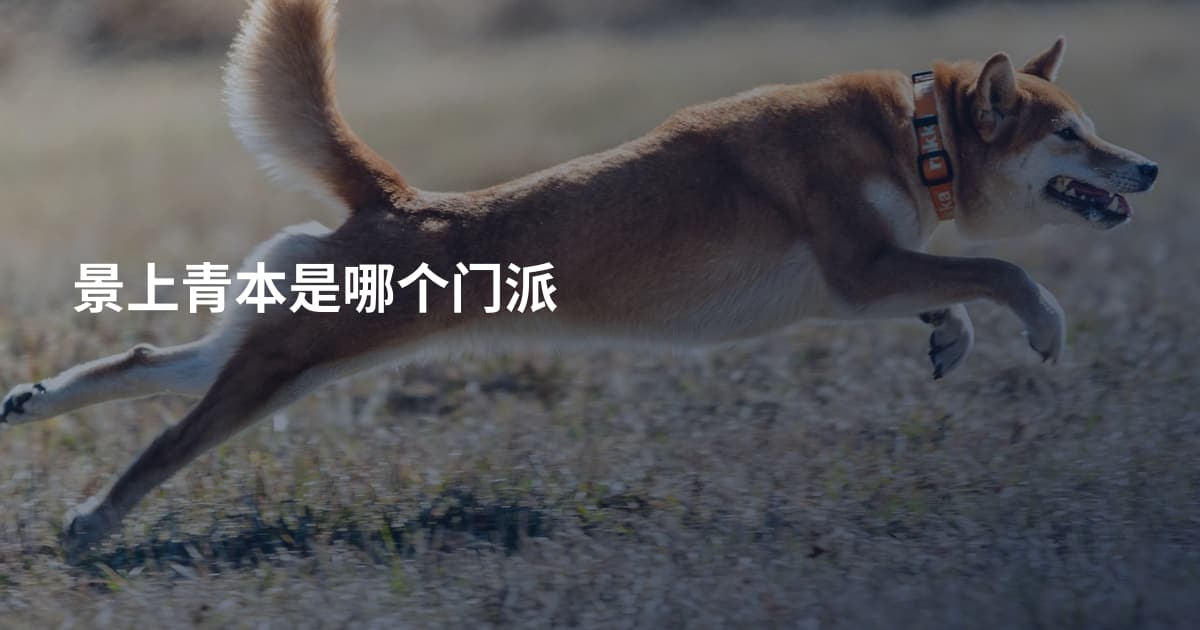 景上青本是哪个门派