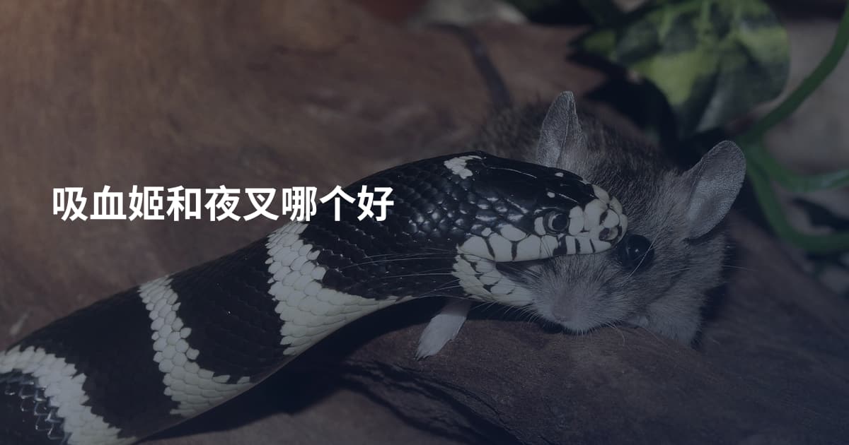 吸血姬和夜叉哪个好