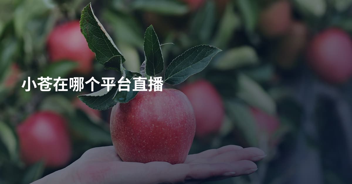 小苍在哪个平台直播