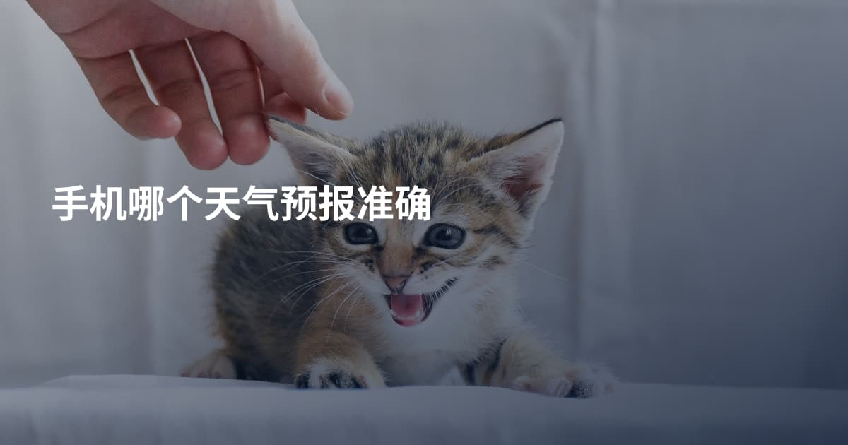 手机哪个天气预报准确