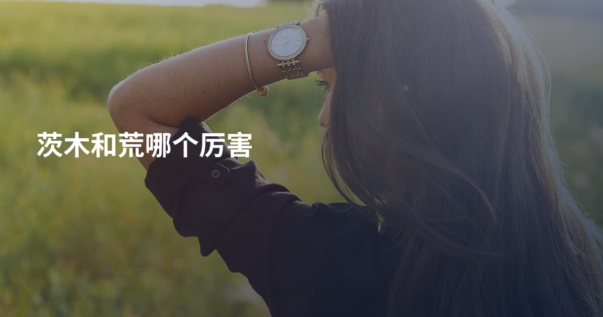 茨木和荒哪个厉害
