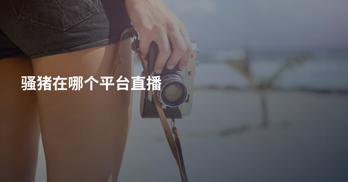 骚猪在哪个平台直播