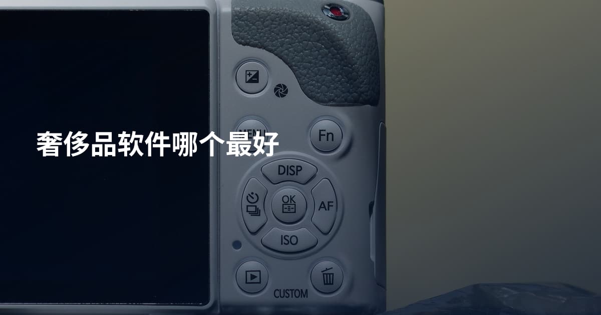 奢侈品软件哪个最好