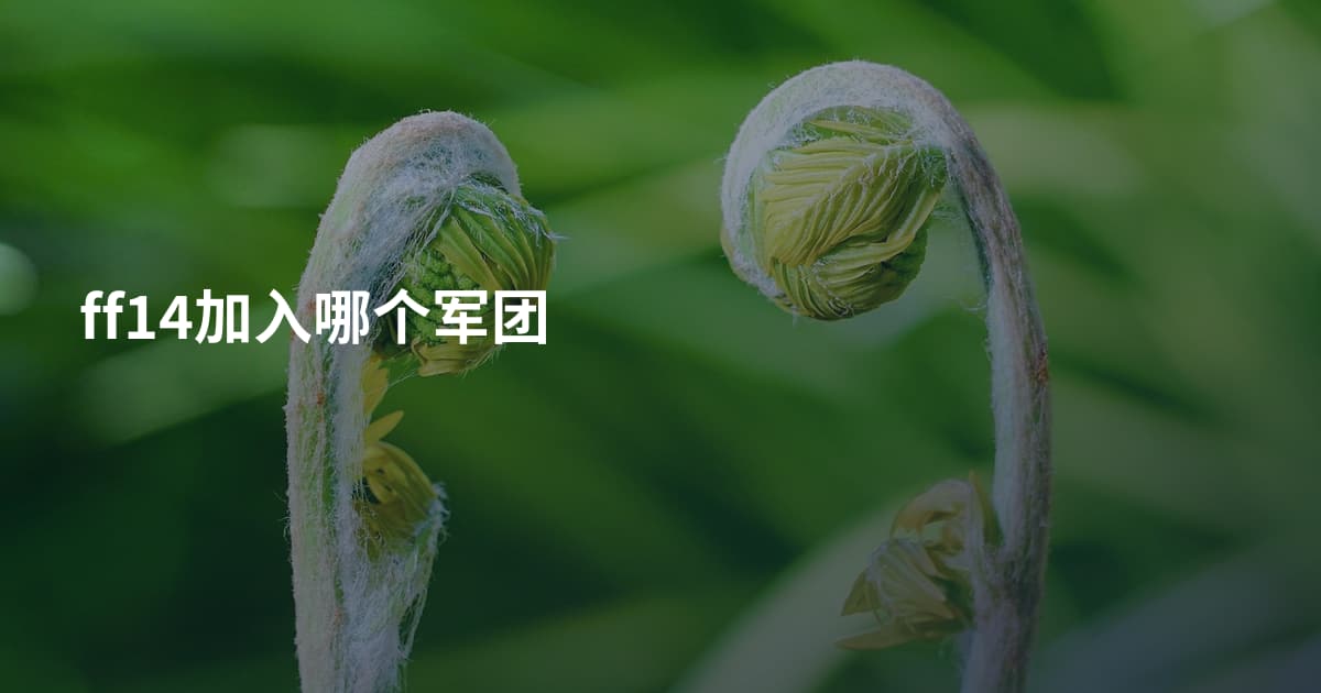 ff14加入哪个军团