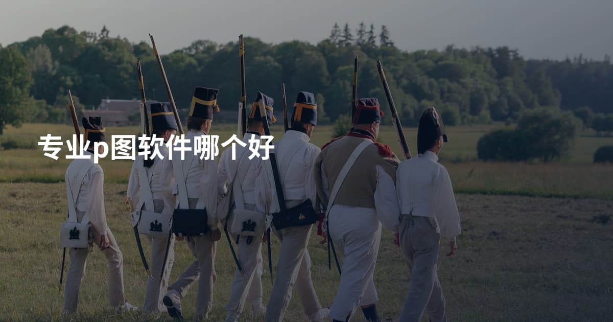 专业p图软件哪个好