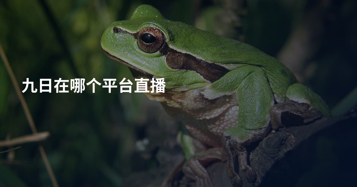 九日在哪个平台直播