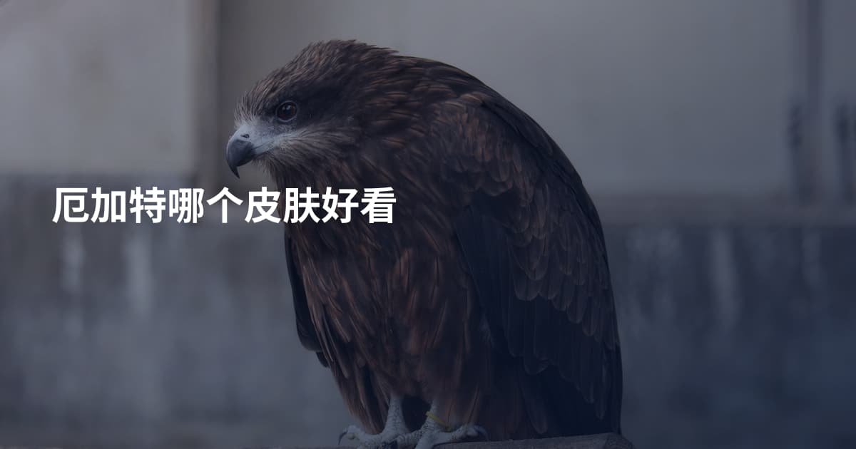 厄加特哪个皮肤好看