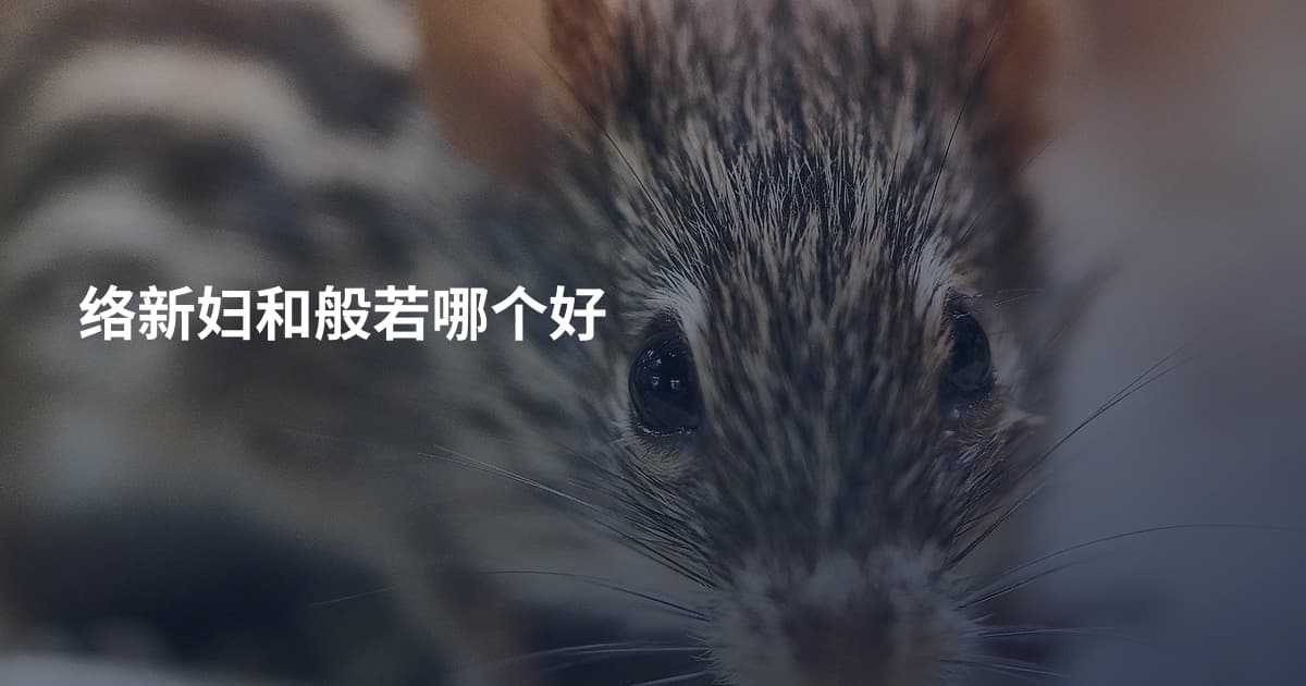 络新妇和般若哪个好