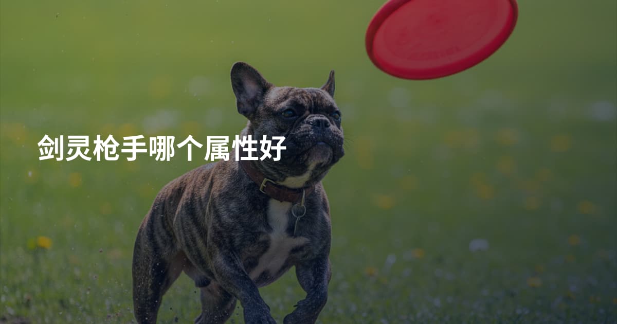 剑灵枪手哪个属性好
