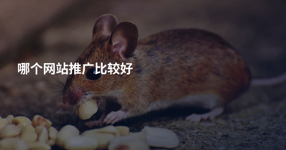 哪个网站推广比较好
