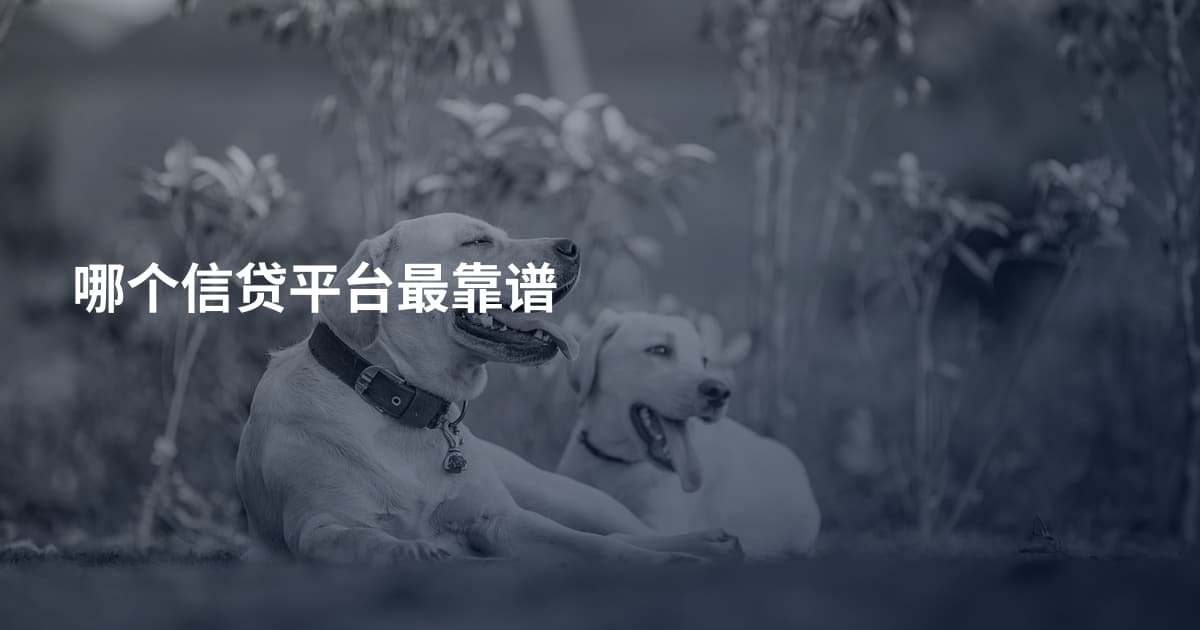 哪个信贷平台最靠谱