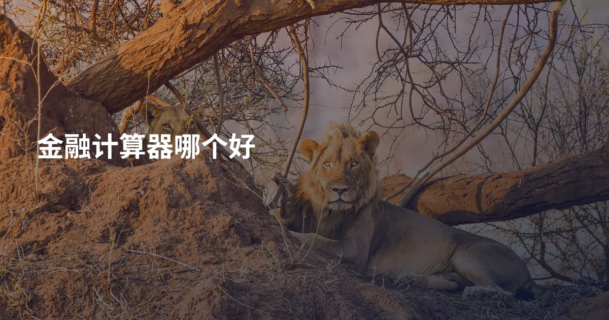 金融计算器哪个好