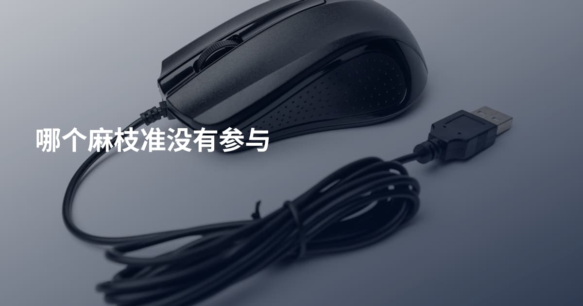 哪个麻枝准没有参与