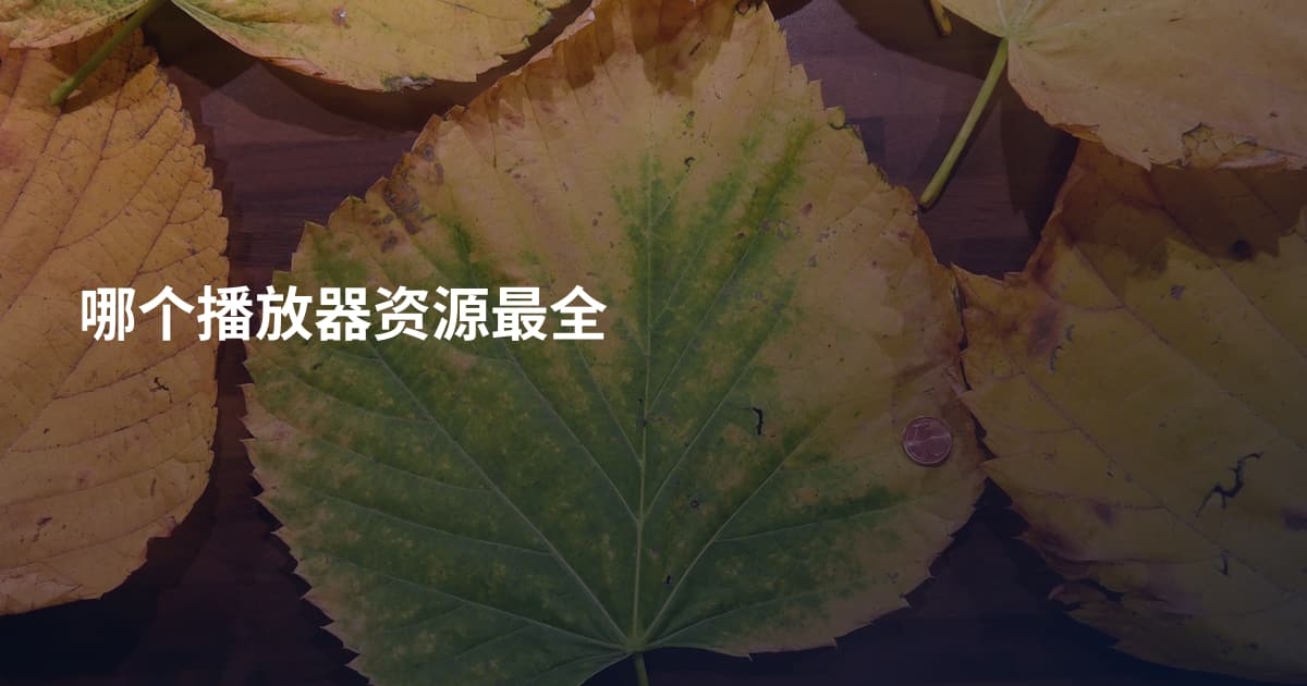 哪个播放器资源最全