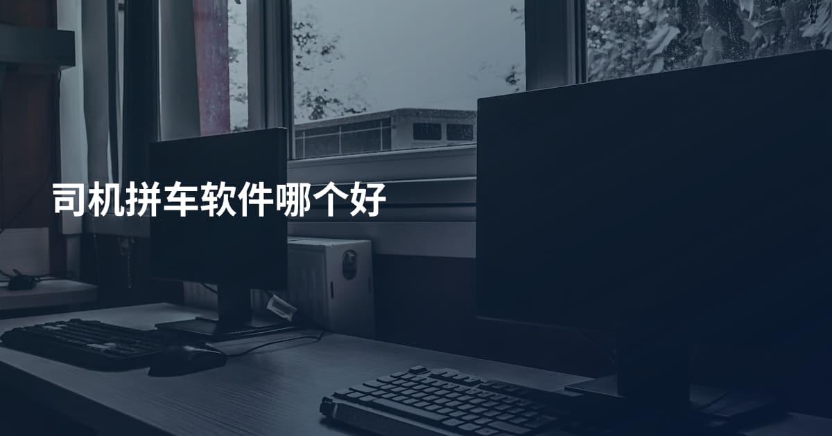 司机拼车软件哪个好