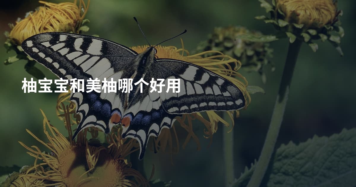 柚宝宝和美柚哪个好用