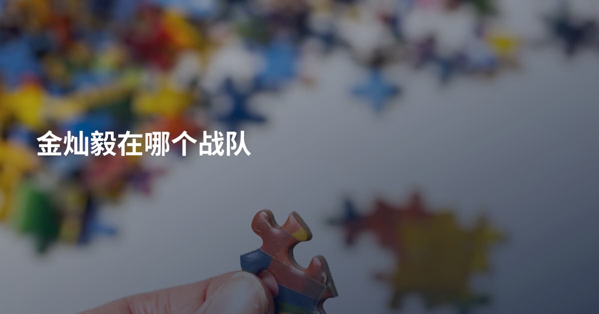 金灿毅在哪个战队