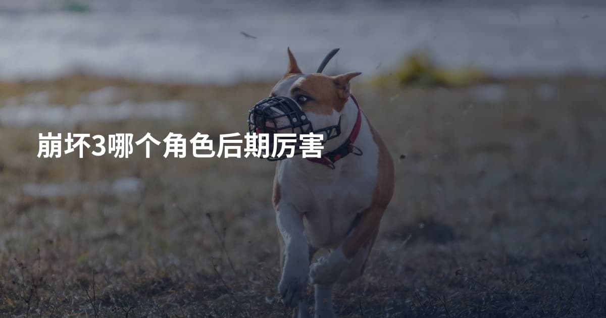 崩坏3哪个角色后期厉害